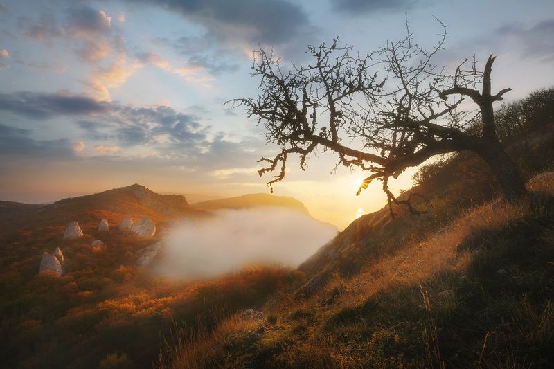 Осенние утренние туманы Крыма фото превью