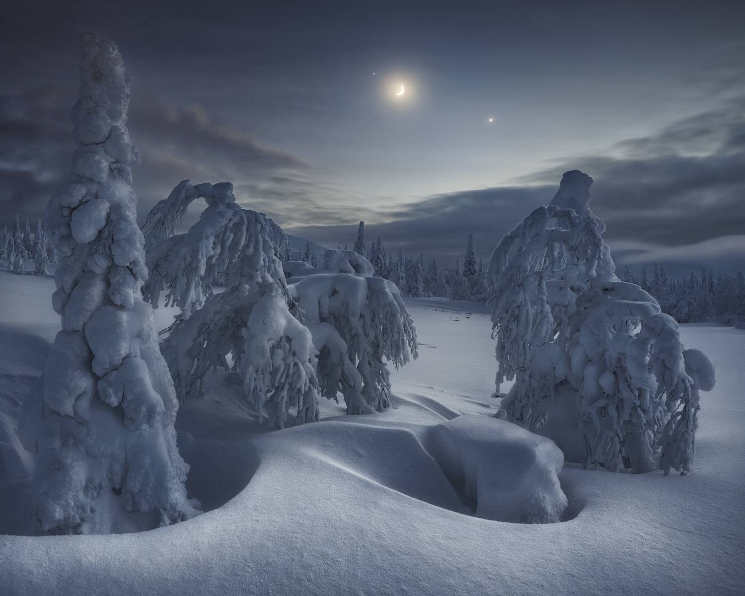 , Медянцев Дмитрий