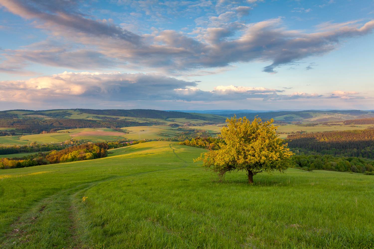 ,  Mirosław Pruchnicki