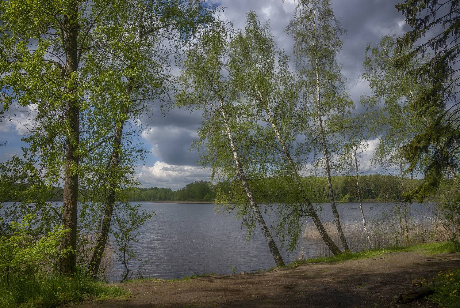 , Сергей Аникин