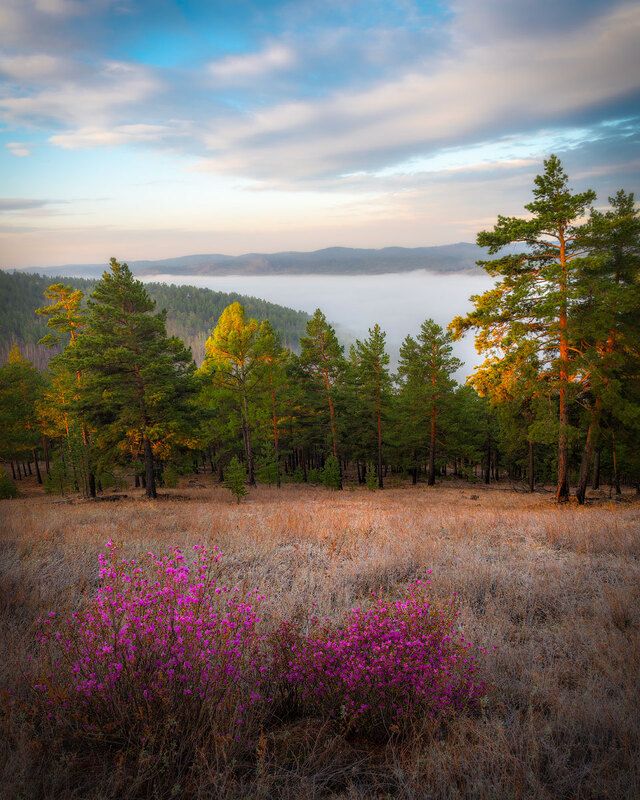 *** фото превью