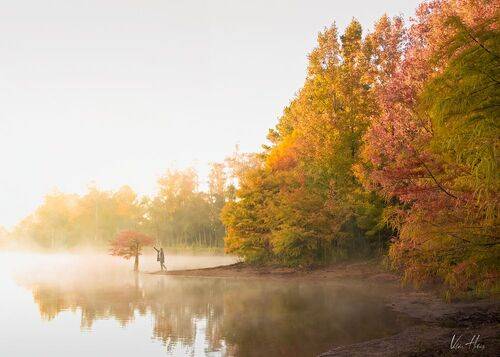 Autumns fog