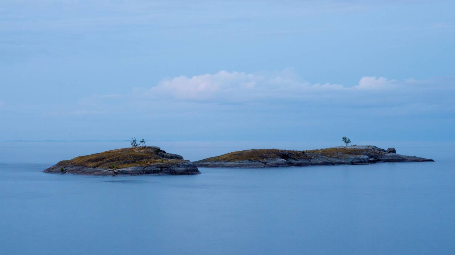 , Комарова Вера