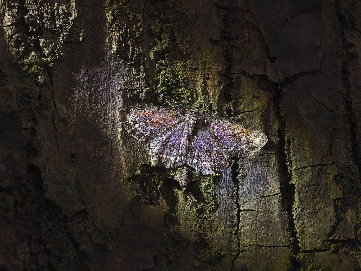 , Лукашук Евгений