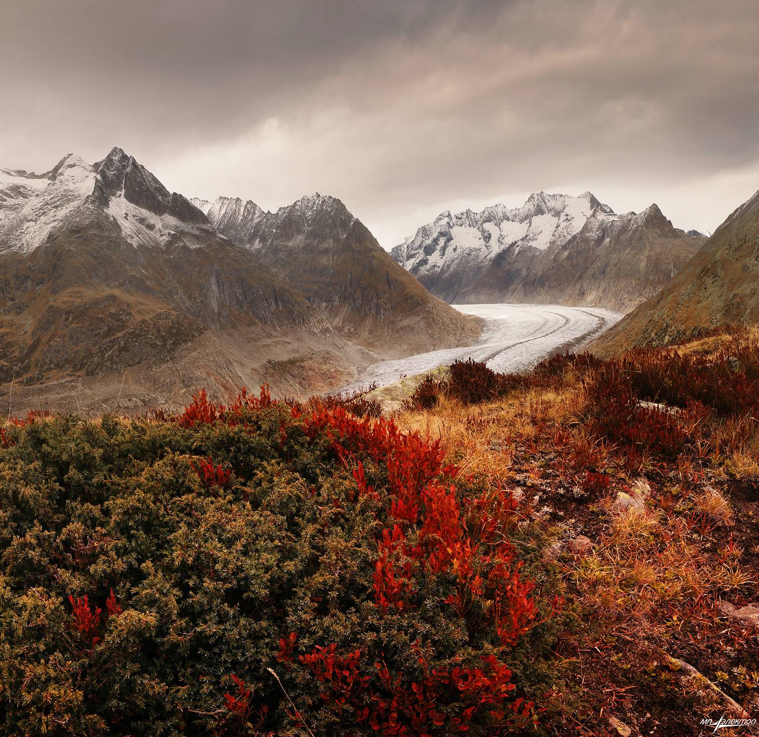 swiss, Матвеев Николай