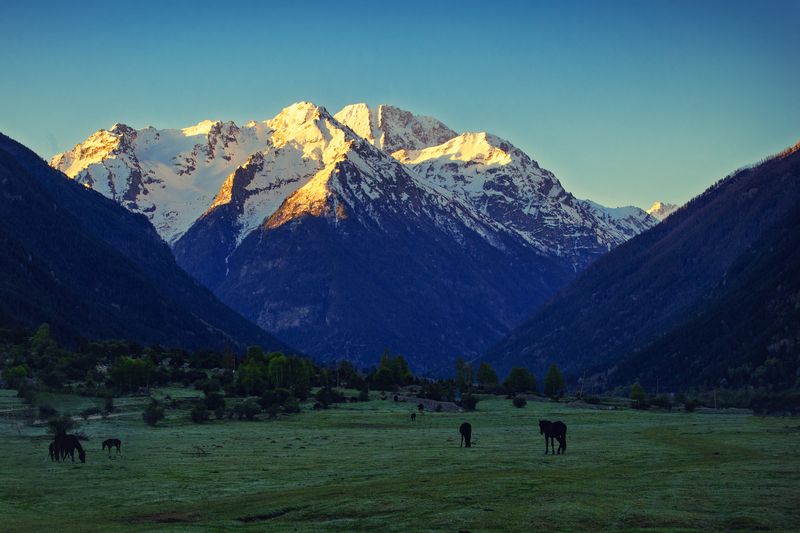 Первые лучи солнца фото превью