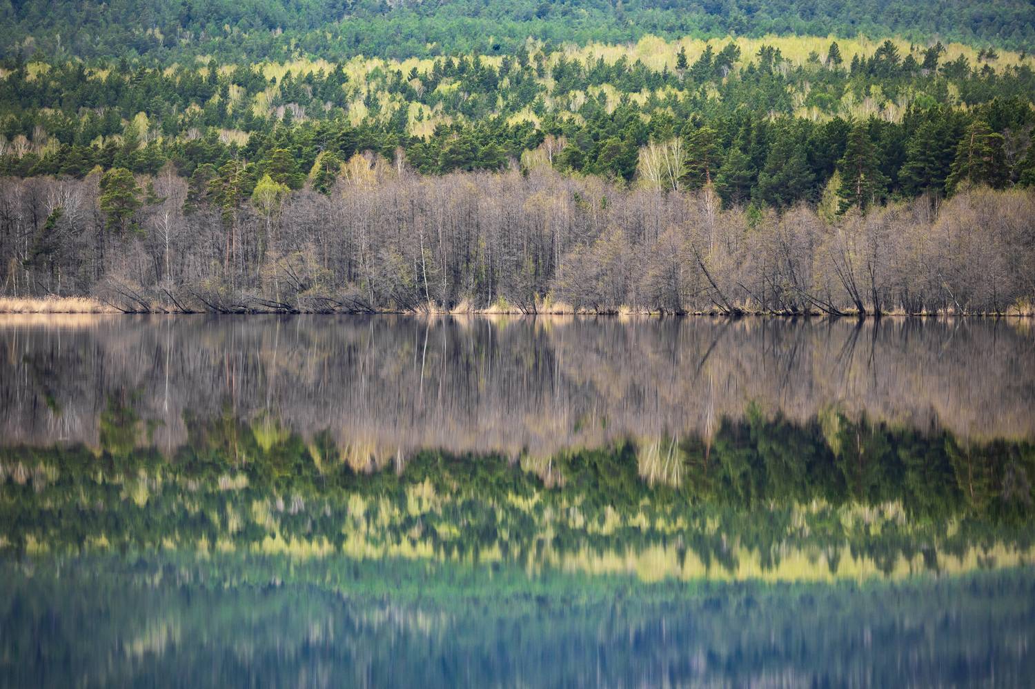 , Щепанов Дмитрий