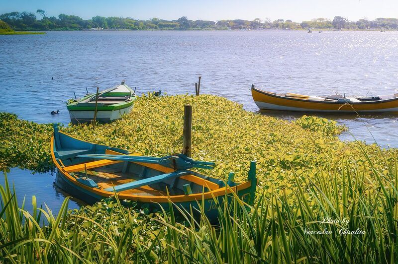 #природа #живописно #пейзаж #тишина #свежийвоздух #диканатура #зелень #вода #природнаямагия #nature #greenescape #hikingadventures #naturevibes #wildwater #earthmood #sereneviews #landscape_lovers #wanderlust #freshair #calmplace На волне уюта и свежести ?? фото превью