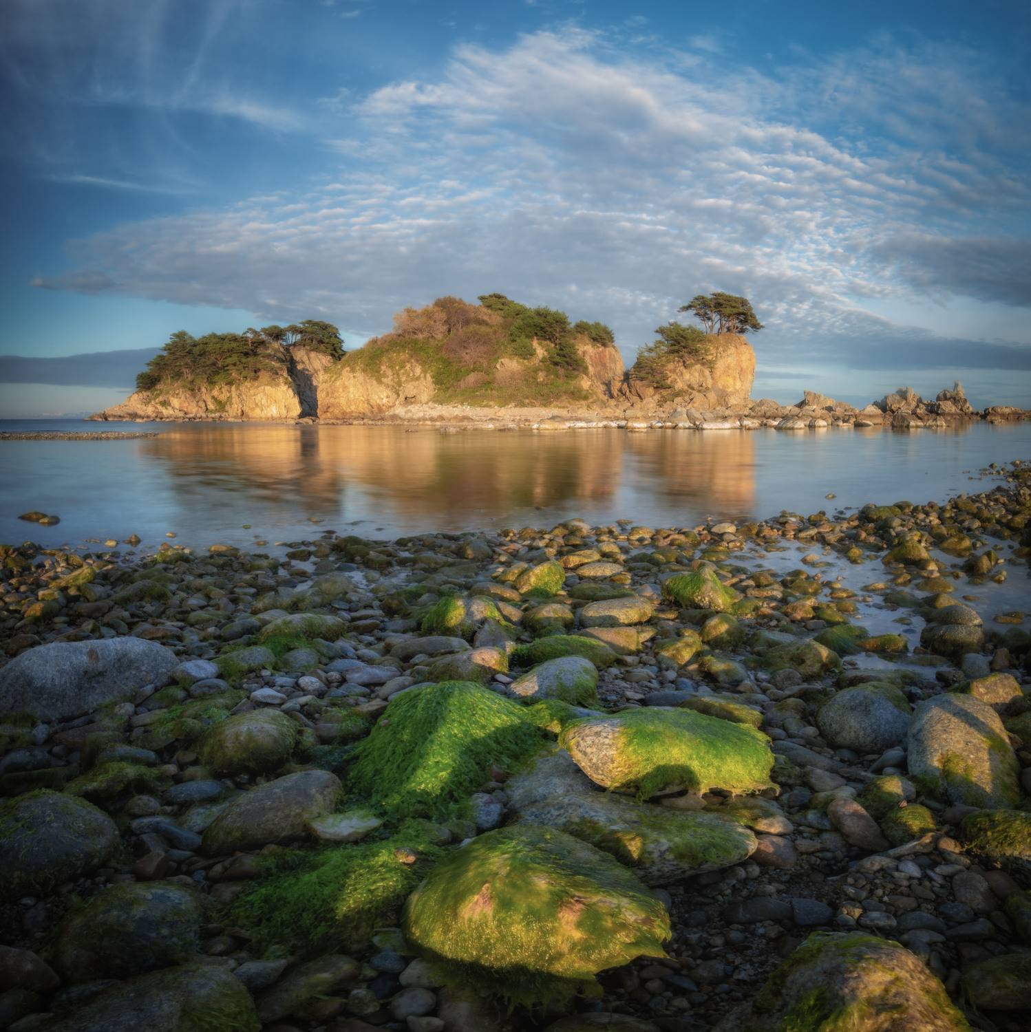 приморье, Андрей Грачев