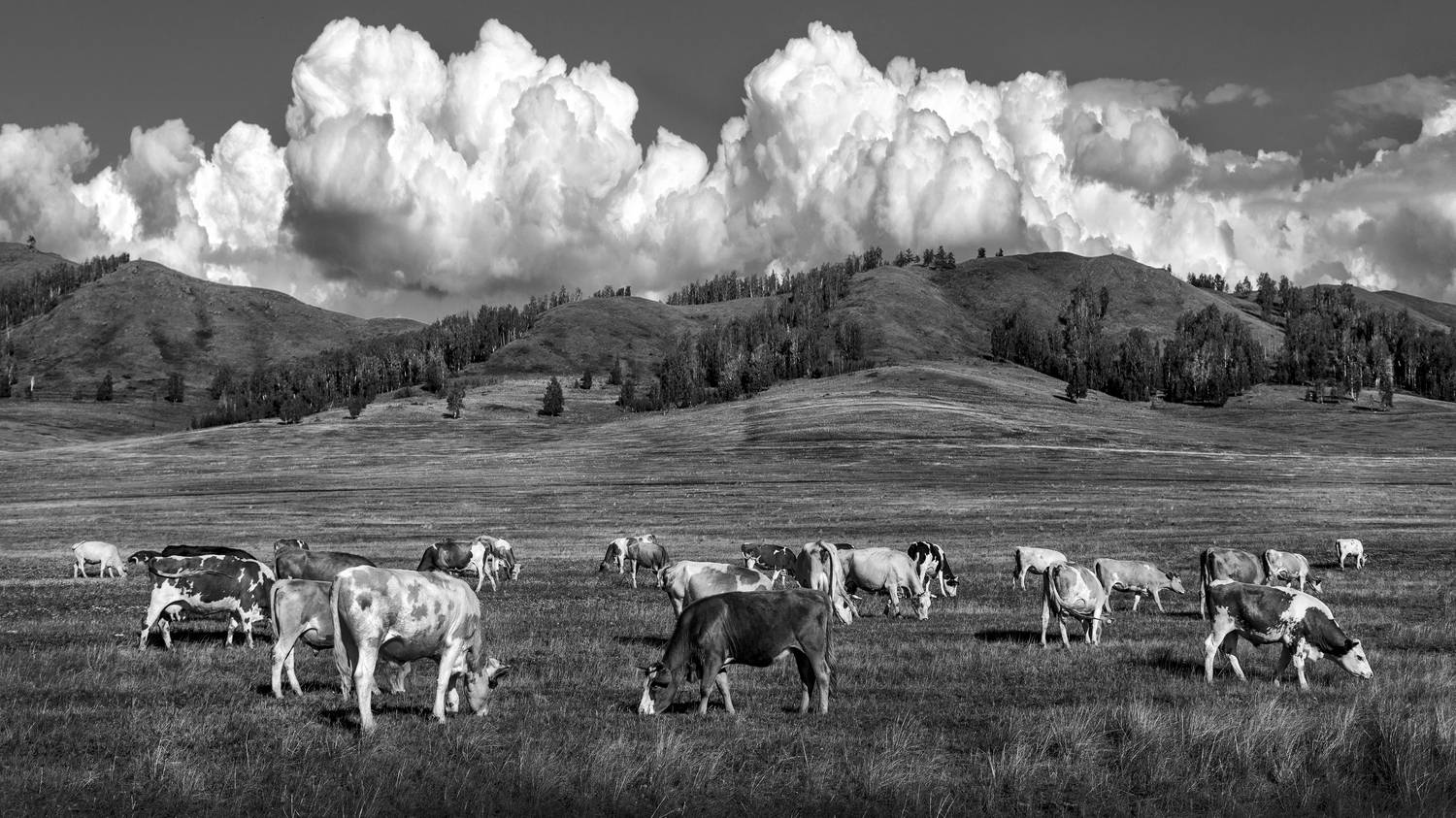 , Ушаков Валерий