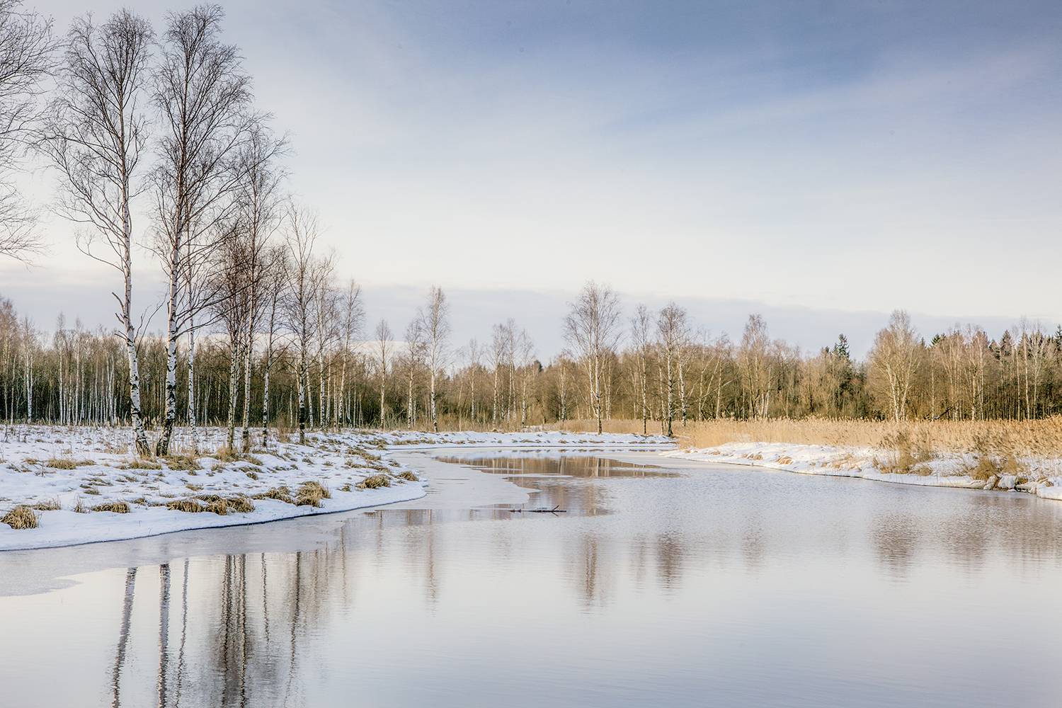 ,  александр михайлов
