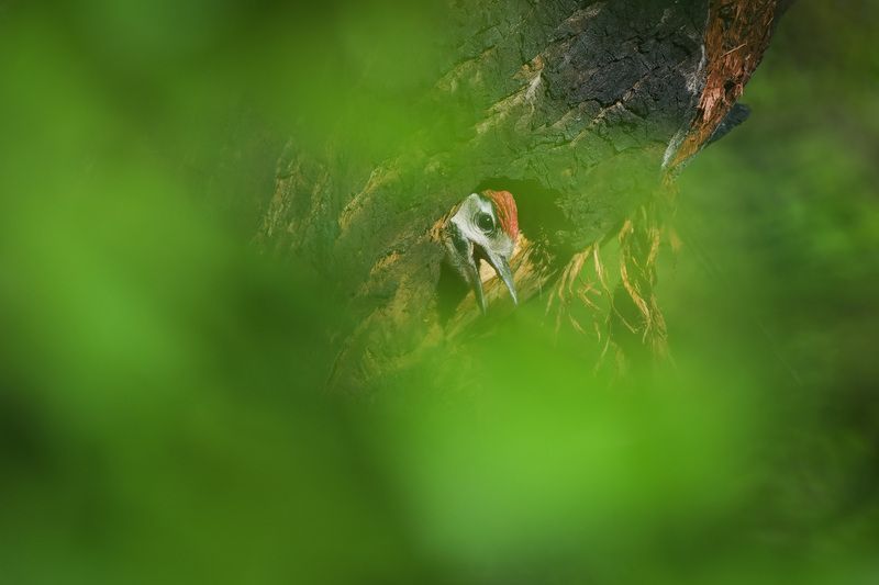 2025 фото превью