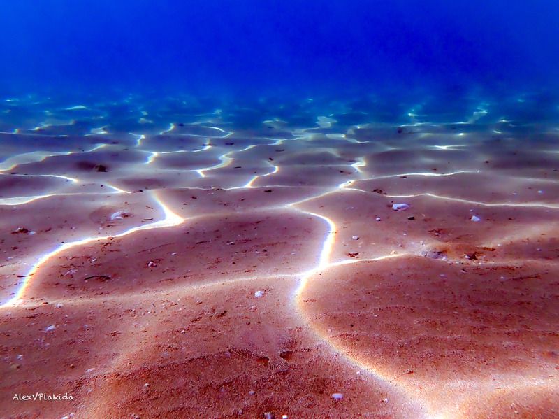 Tranquility фото превью