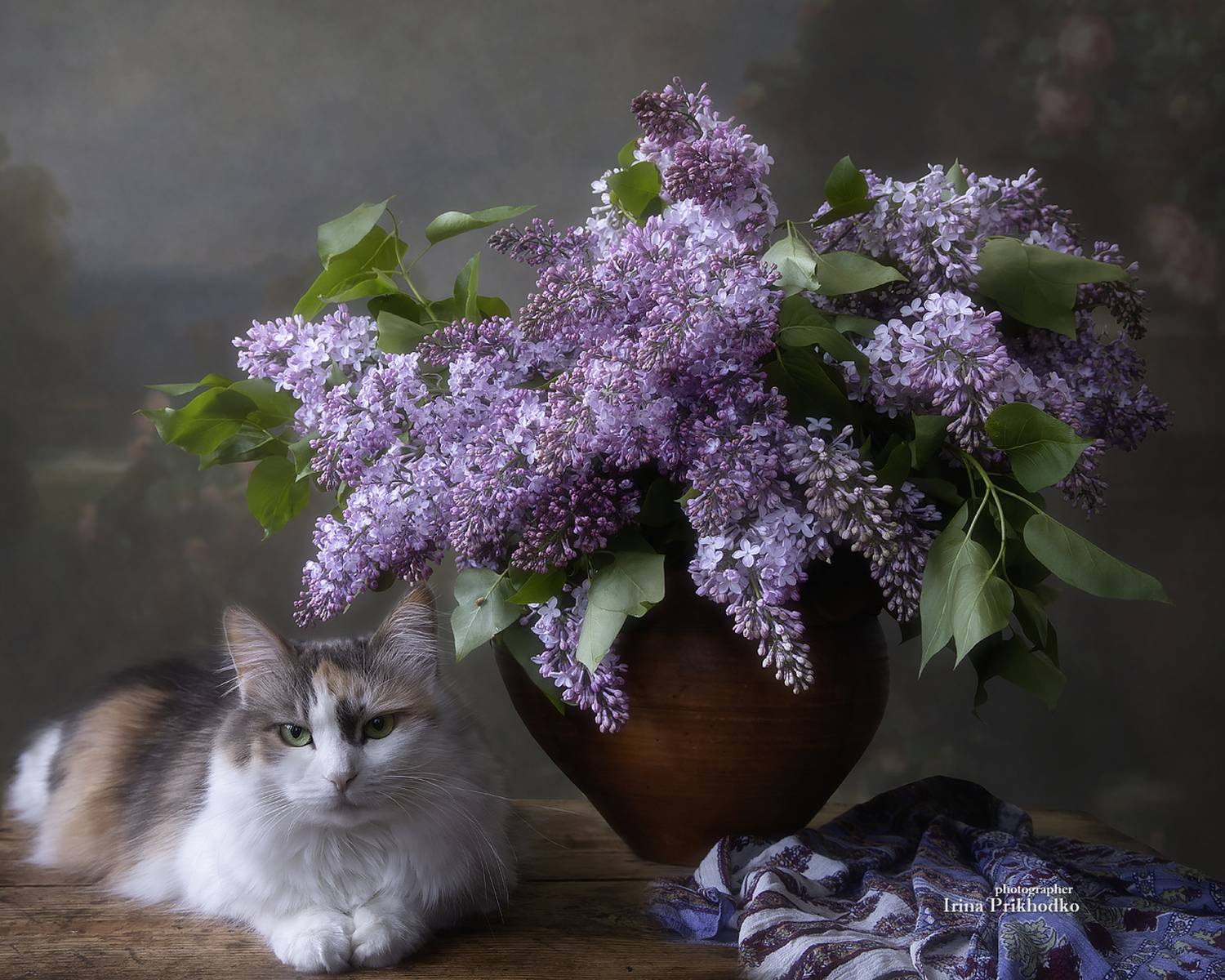 натюрморт, кошка, сирень, букет, цветы, весна, Приходько Ирина