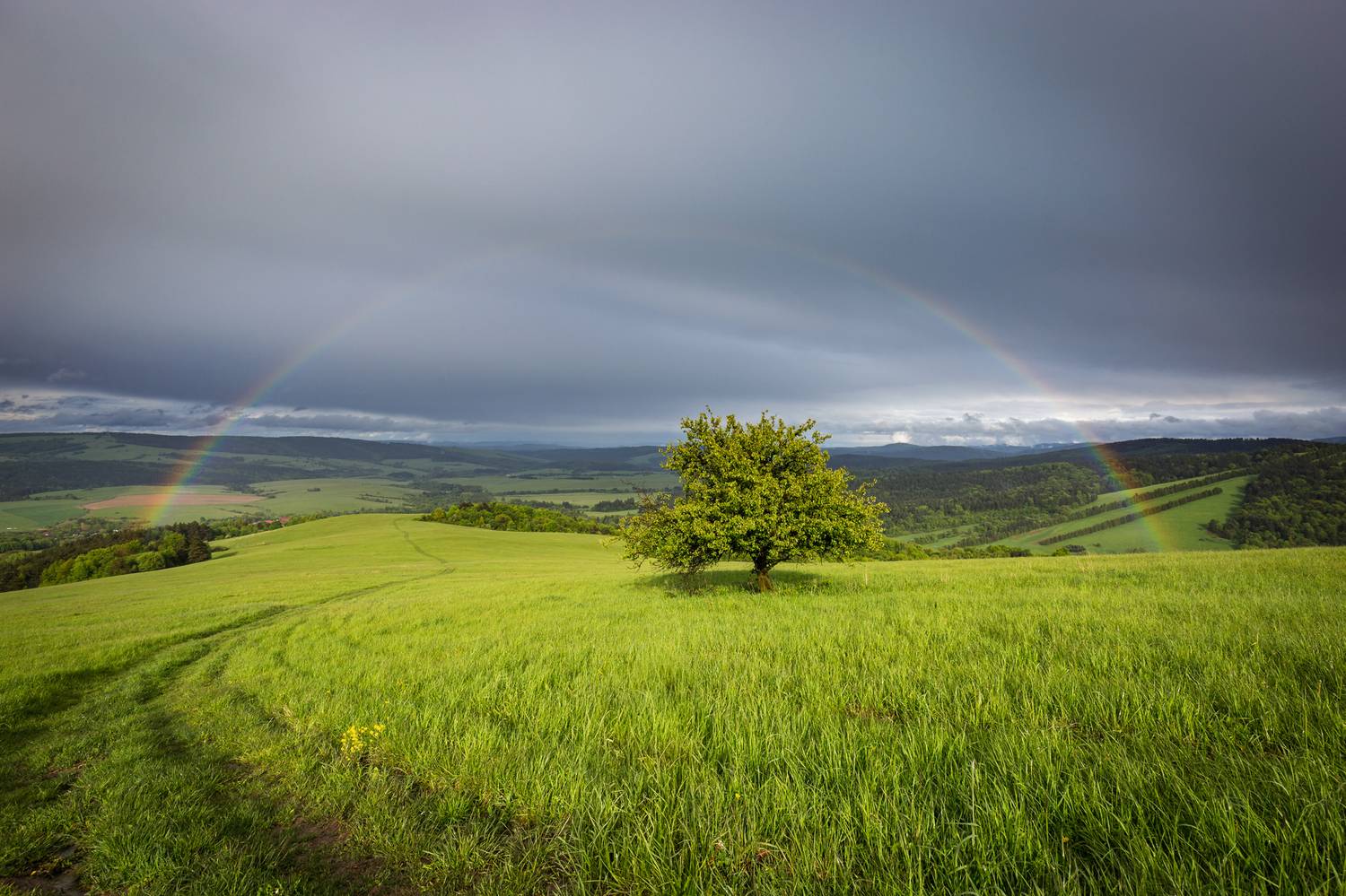 ,  Mirosław Pruchnicki
