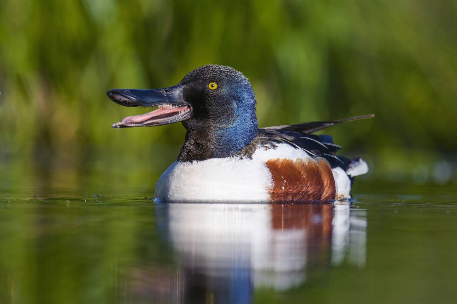 , Пупонин Сергей