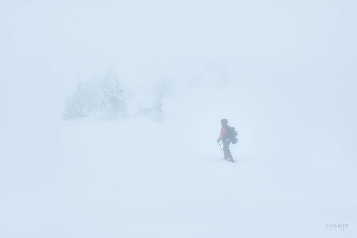 , Константин Шамин