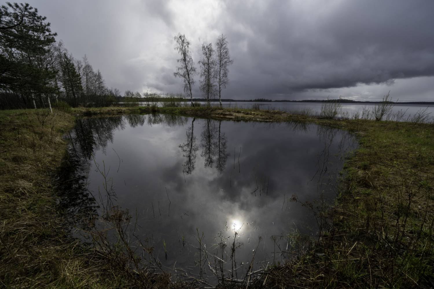 Россия, Новгородская область, Боровичи, озеро Шерегодра, Гаврилов Юрий