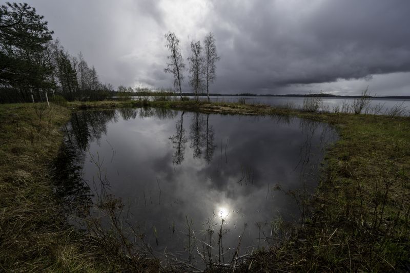 Россия, Новгородская область, Боровичи, озеро Шерегодра Валдайские пейзажи фото превью
