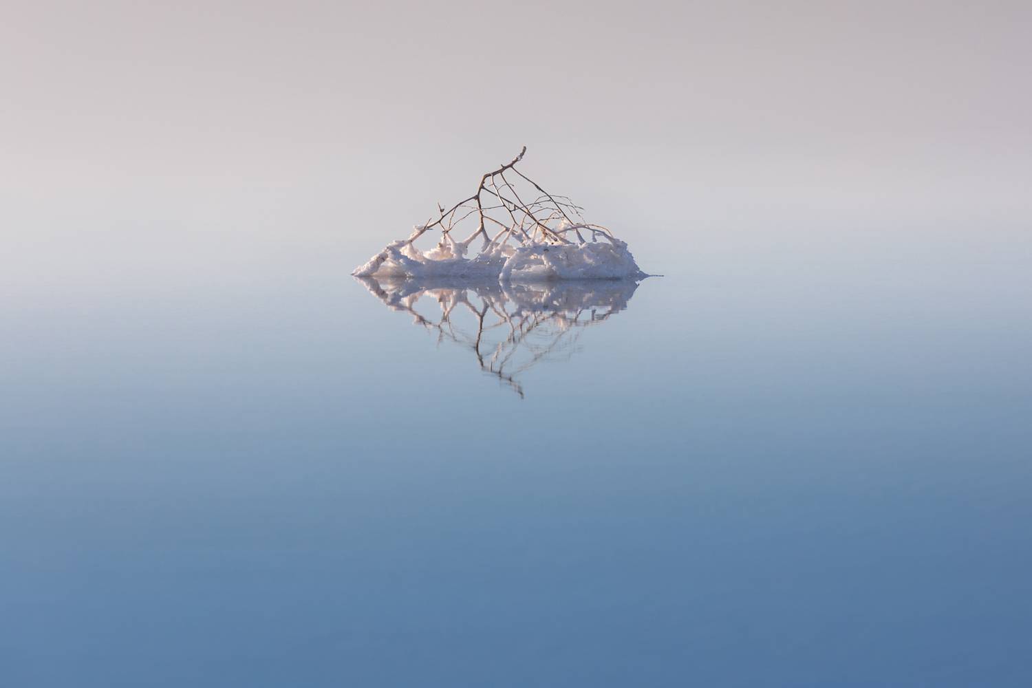 Эльтон, Волгоградская область, пейзаж, солёное озеро, озеро, Перекати-поле, Светлана Грянкина