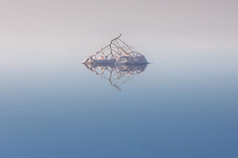 Эльтон, Волгоградская область, пейзаж, солёное озеро, озеро, Перекати-поле  фото превью