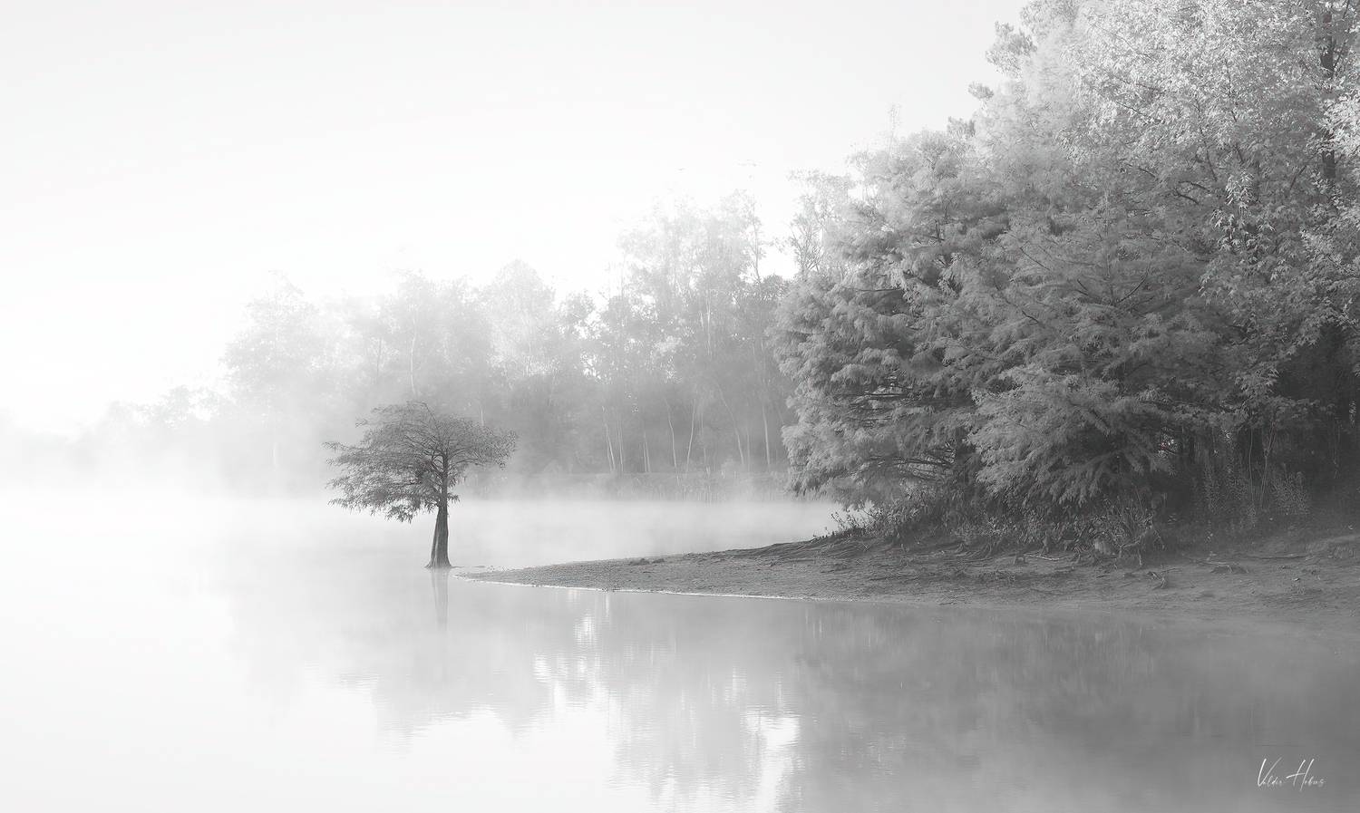 lake, fog, calm , Valdir Hobus