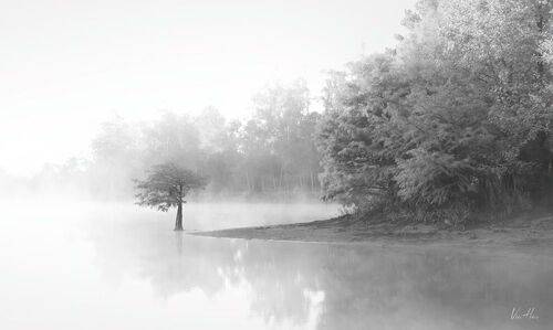 The lake
