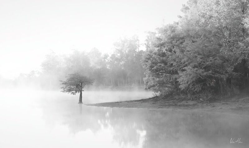 lake, fog, calm  The lake фото превью