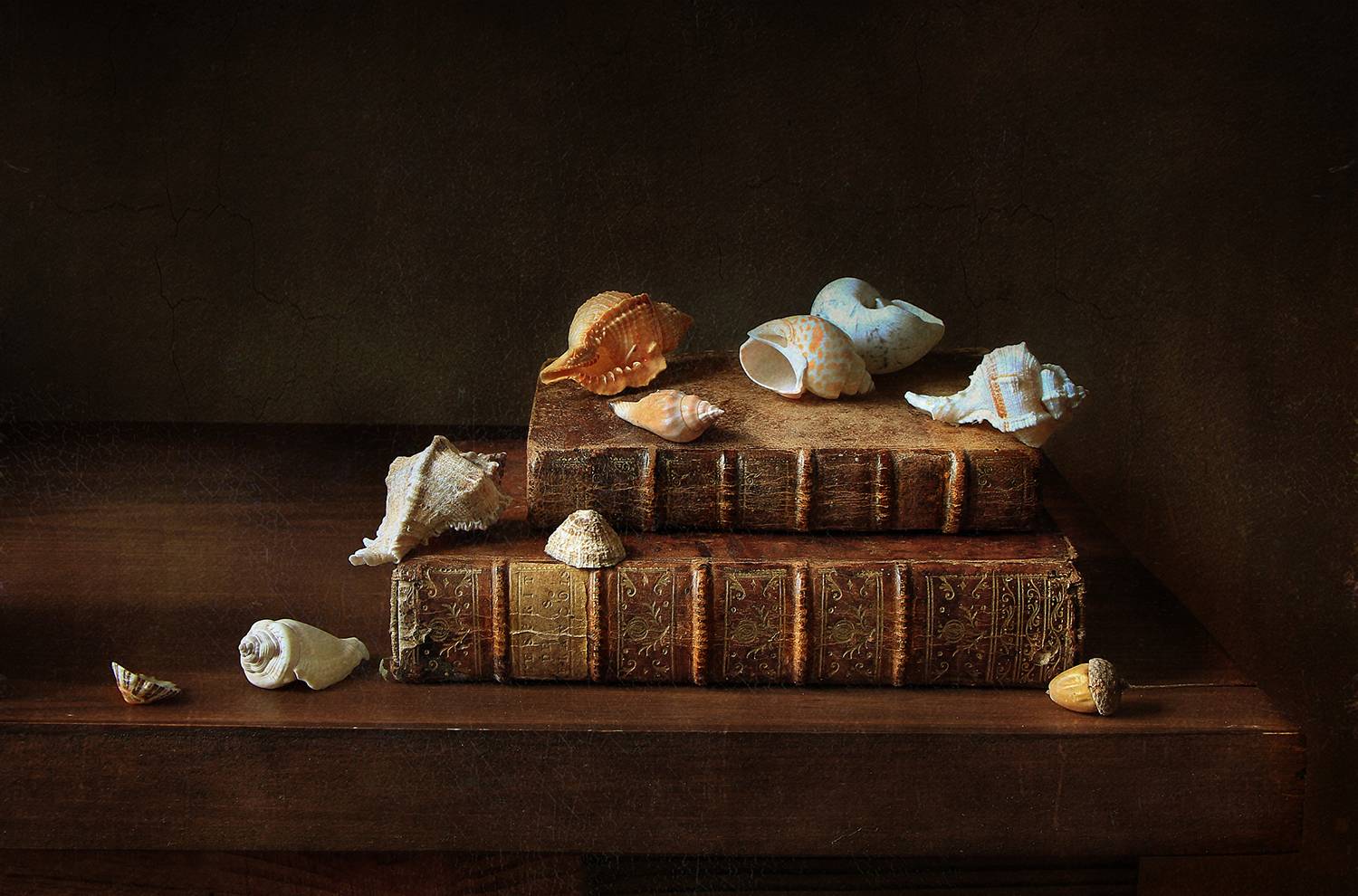 , Рита Гончаренко