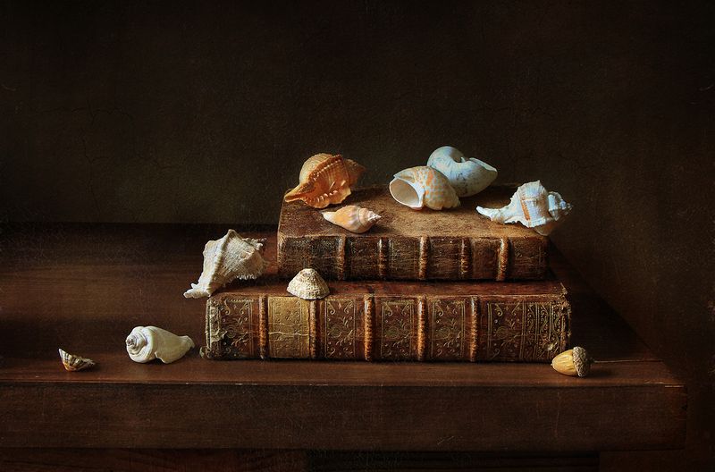 Натюрморт с книгами и ракушками фото превью