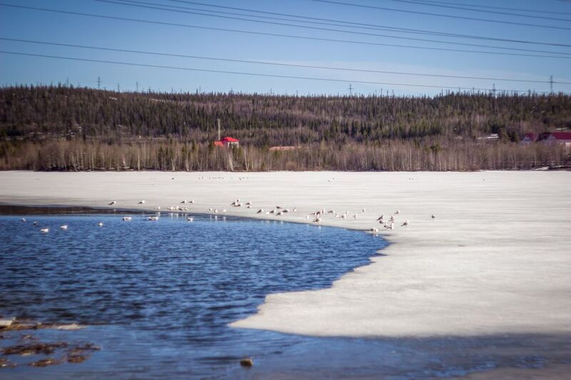 фото превью