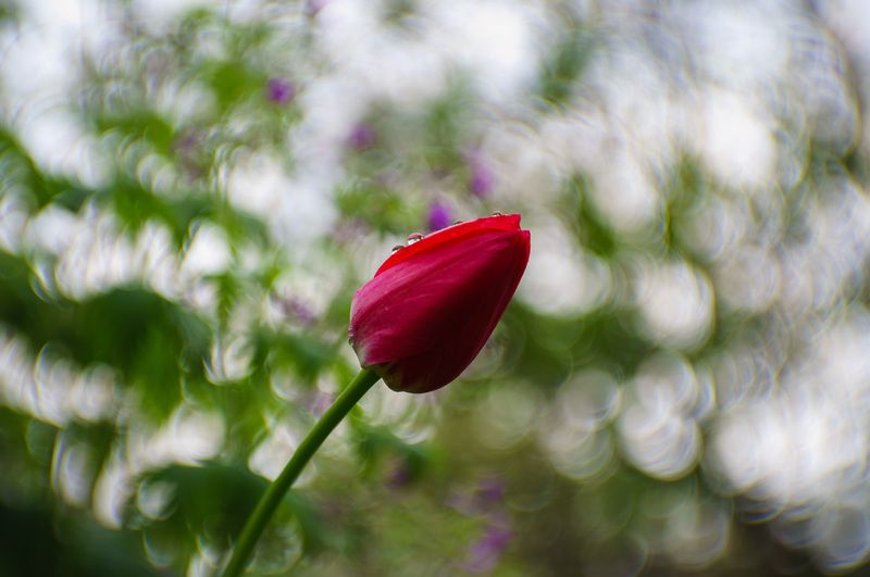 После ливня фото превью