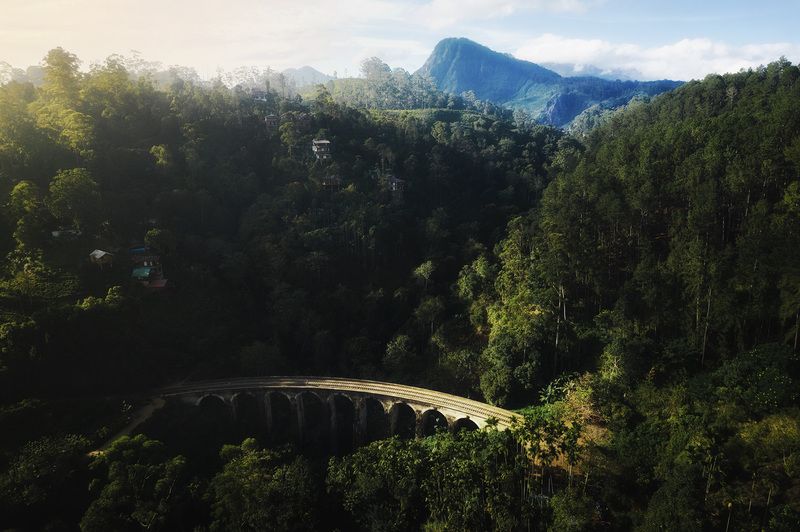 Nine Arch Bridge, Девятиарочный мост,  Шри-Ланка, Sri Lanka, Ella, Элла Девятиарочный мост фото превью