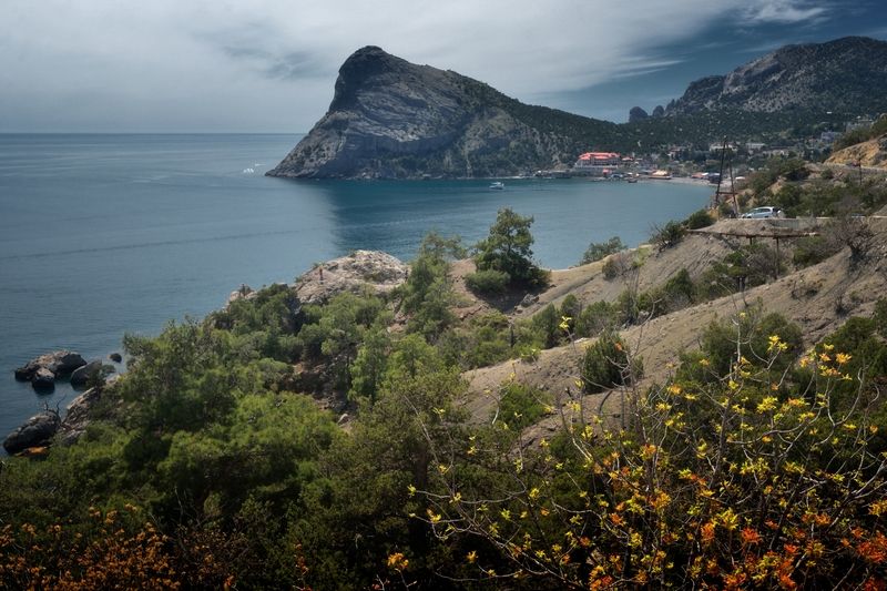 Новый Свет фото превью