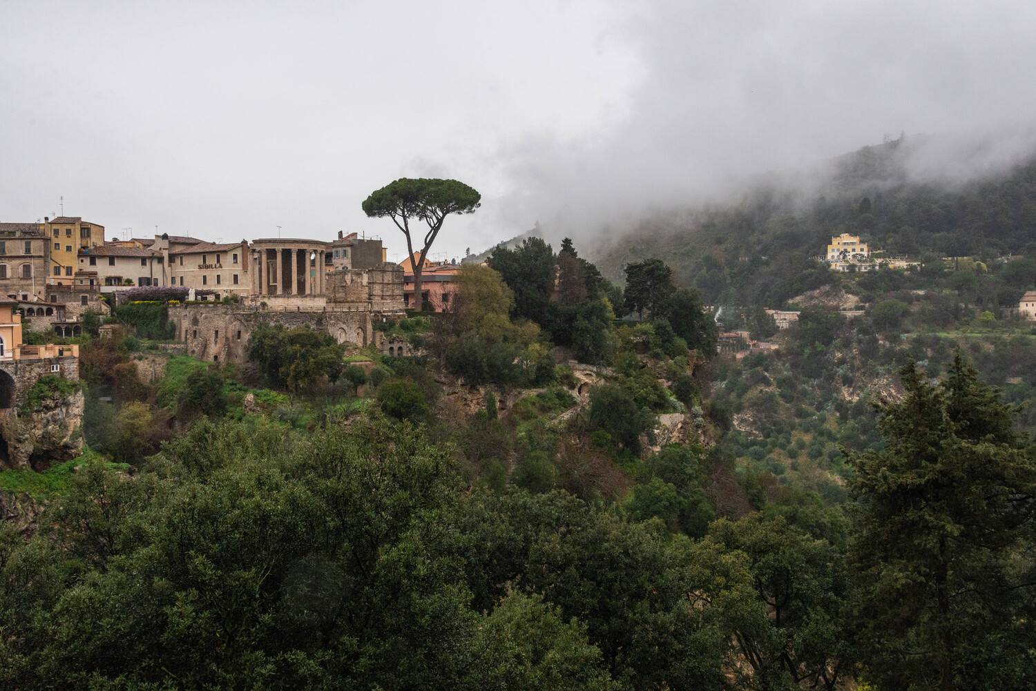 , Vladimir Bragilevsky