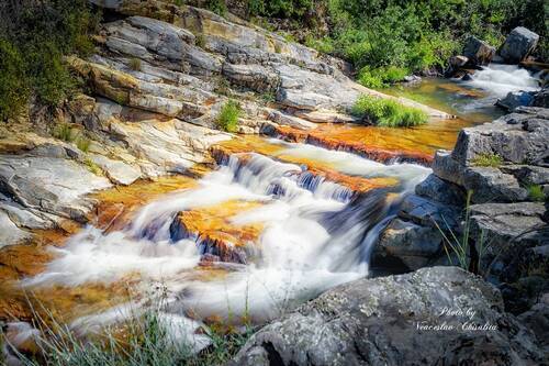 Там, где поют ручьи
