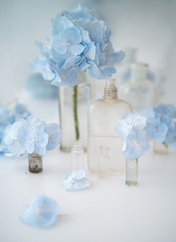 Ностальгия фото превью