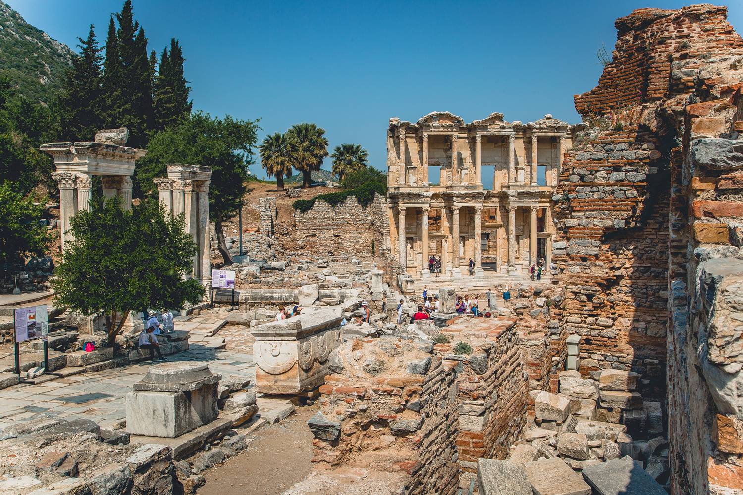 , Трепольский Дмитрий