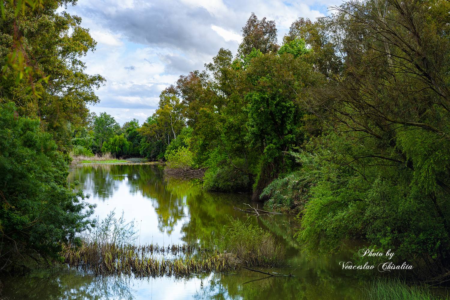 , Veaceslav Chisalita