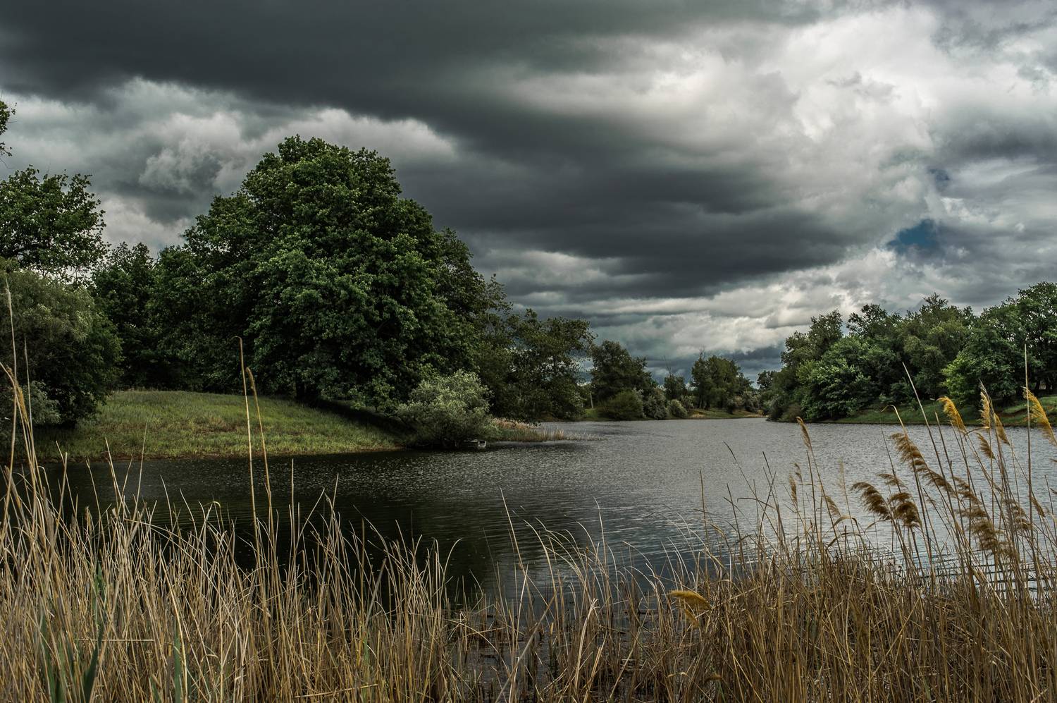 пейзаж,природа,весна,озеро, Vasilev Roman