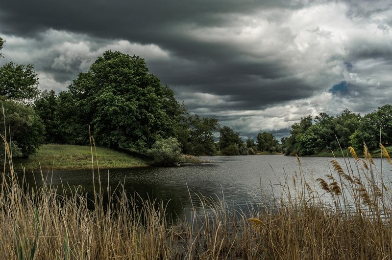пейзаж,природа,весна,озеро Весной фото превью