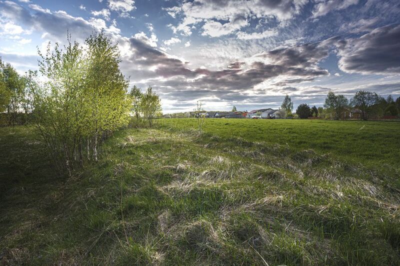 Смоленская обл. Весна в Торбеево... фото превью