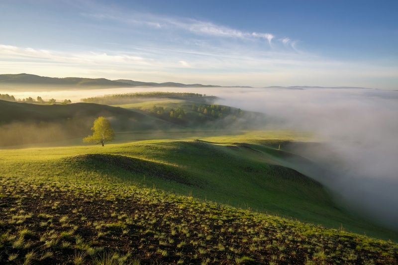 Туманное утро фото превью