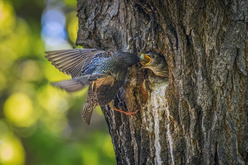 Поесть - уговаривать не надо фото превью