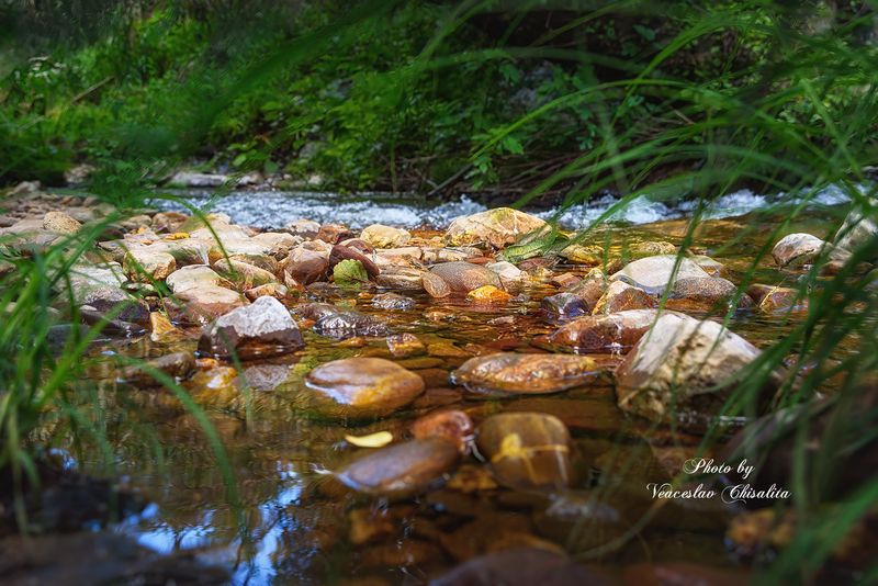 #природа #горныйручей #живописно #горы #поход #летовгорах #пейзаж #тишина #свежийвоздух #диканатура #поток #зелень #вода #горнаярека #природнаямагия #nature #mountainstream #greenescape #hikingadventures #naturevibes #wildwater #earthmood #sereneviews #la Детали обычно важнее всего фото превью