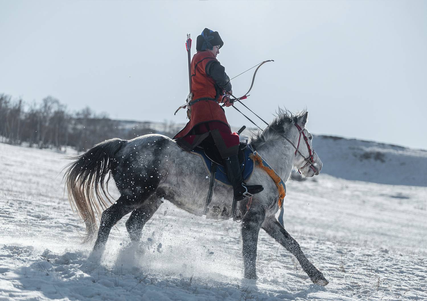 mongolian archer horse, ganzorig miimaa