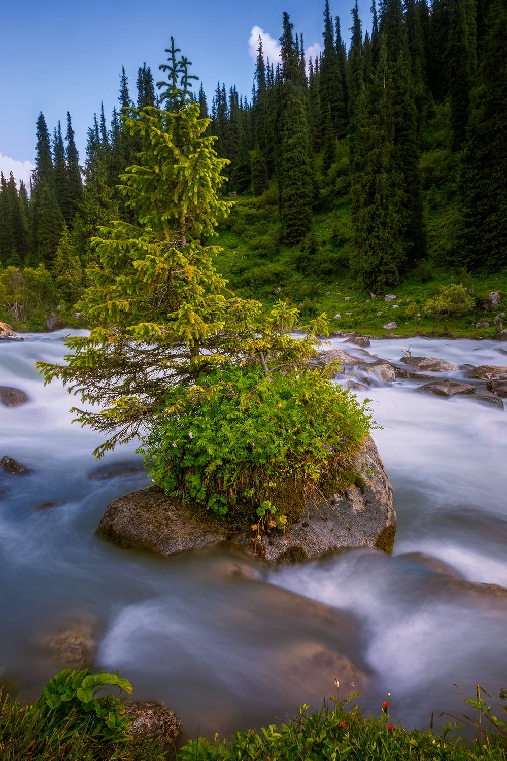 кыргызстан, тургень, Элина Магалимова