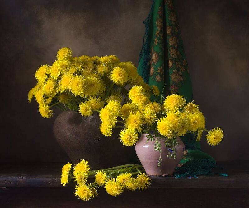 Миллион желтых одуванчиков. фото превью