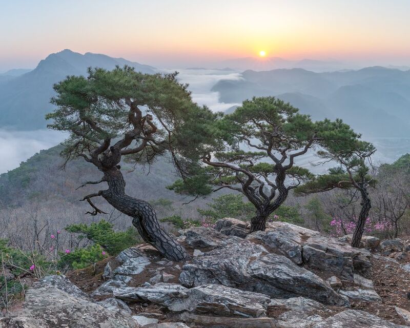 Spring, Suspicious Trio фото превью