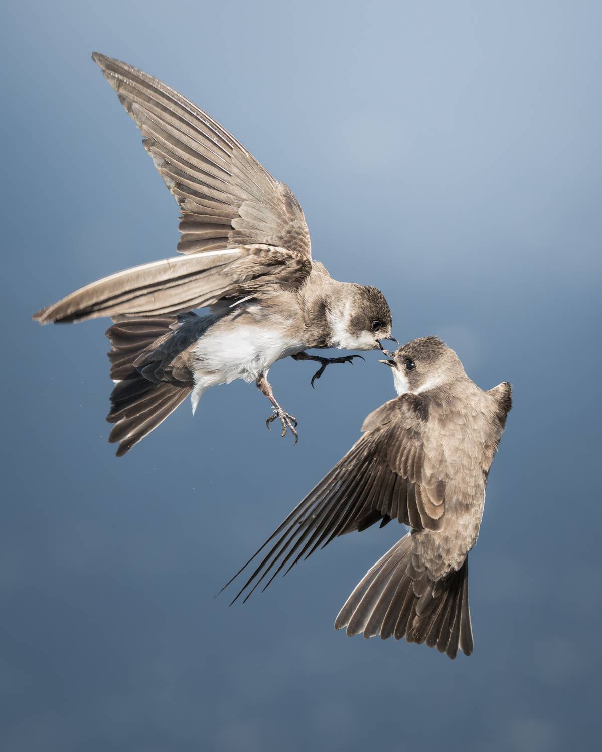 , Поляков Михаил